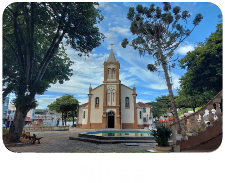 bicas123